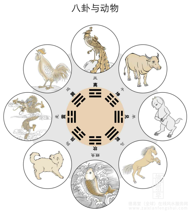 3动物.png