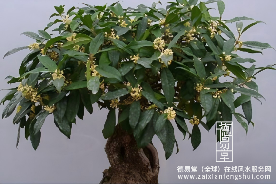 屏幕截图 2025-12-12 165405.png