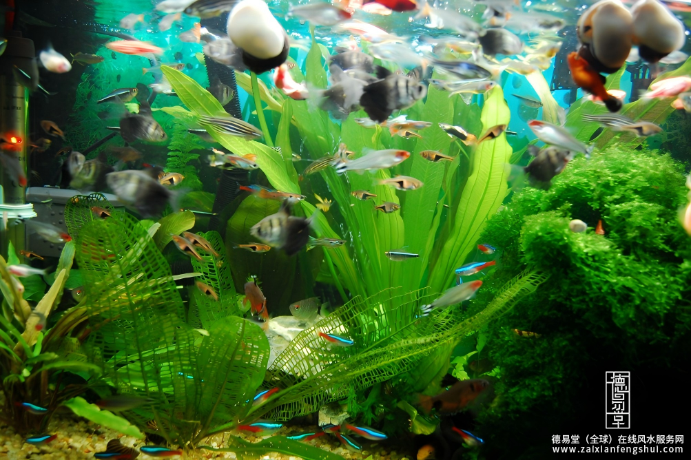 1766108769841536.png 屏幕截图 2025-12-18 162108.png